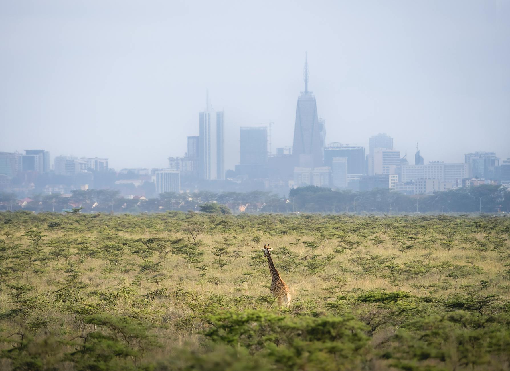 Nairobi